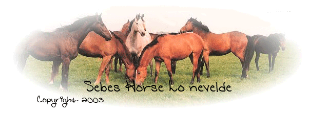 Sebes Horse Nevelde, legyen sajt Virtulis lovad!